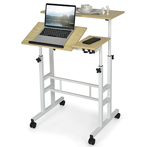 Mobile Stand-up Computer Desk Adjustable with 2 Tilting Desktops